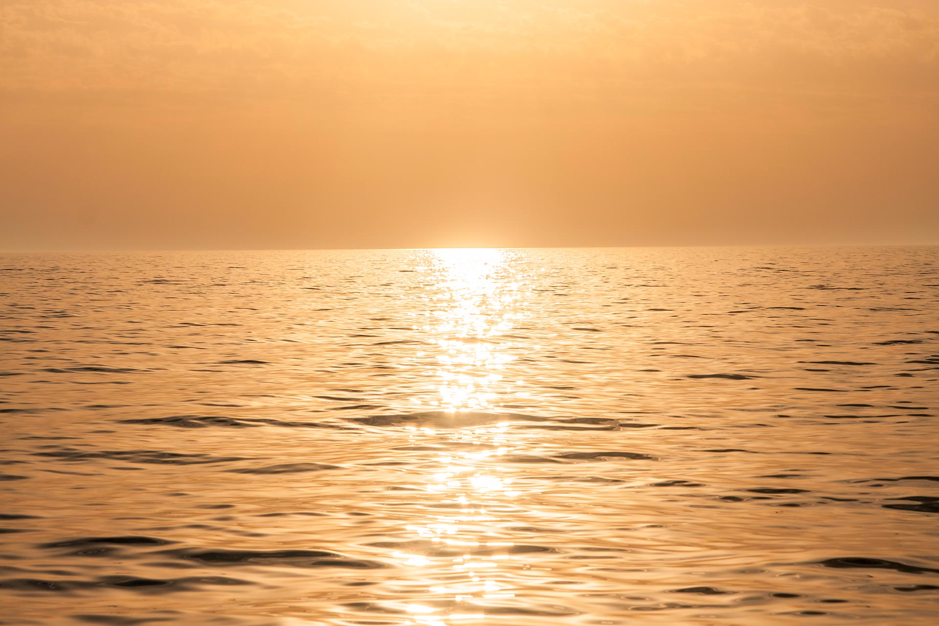 Sechste aktuelle Meldung