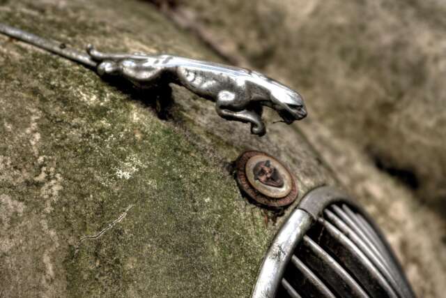 Sechster Blogbeitrag